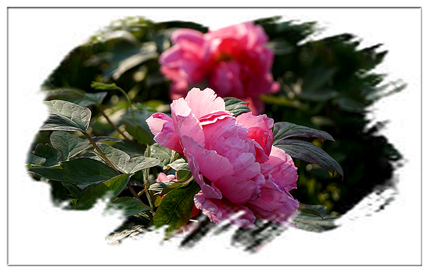 DSC00819_副本.jpg
