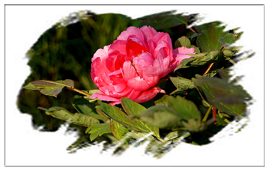DSC00807_副本.jpg
