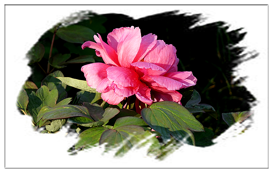 DSC00810_副本.jpg