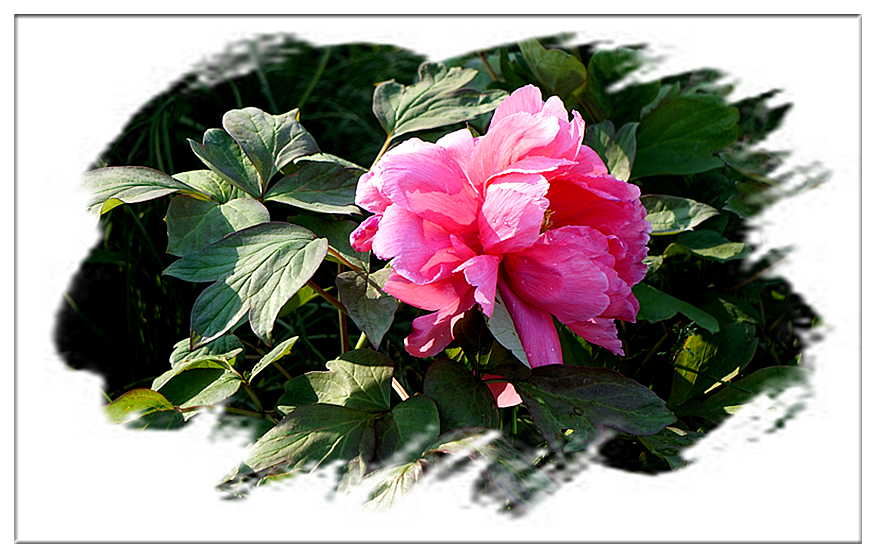 DSC00811_副本.jpg