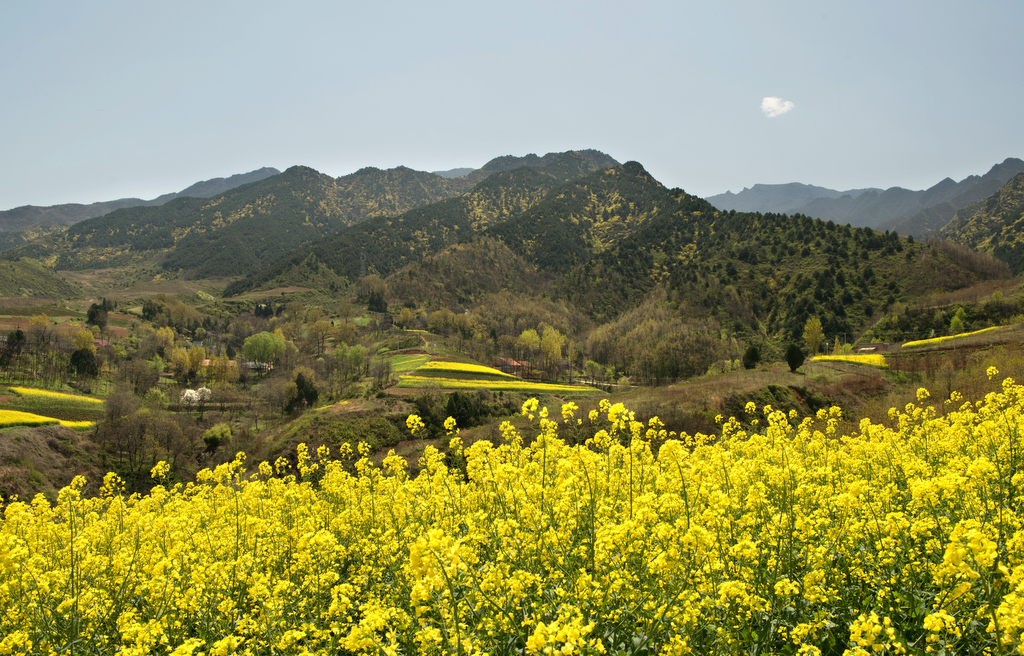 DSC_7051.jpg