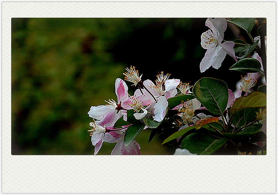 DSC_2797_副本_副本.jpg