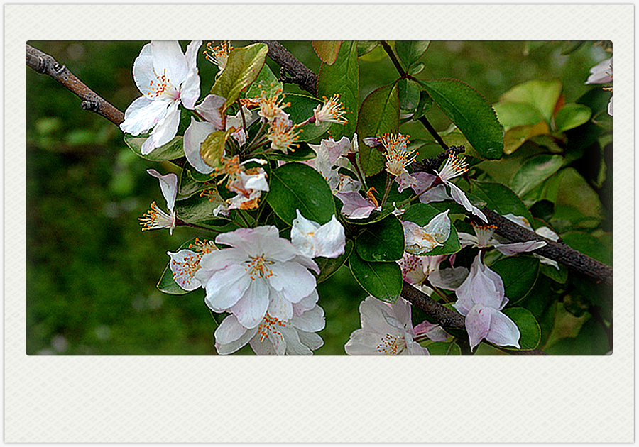DSC_2798_副本_副本.jpg