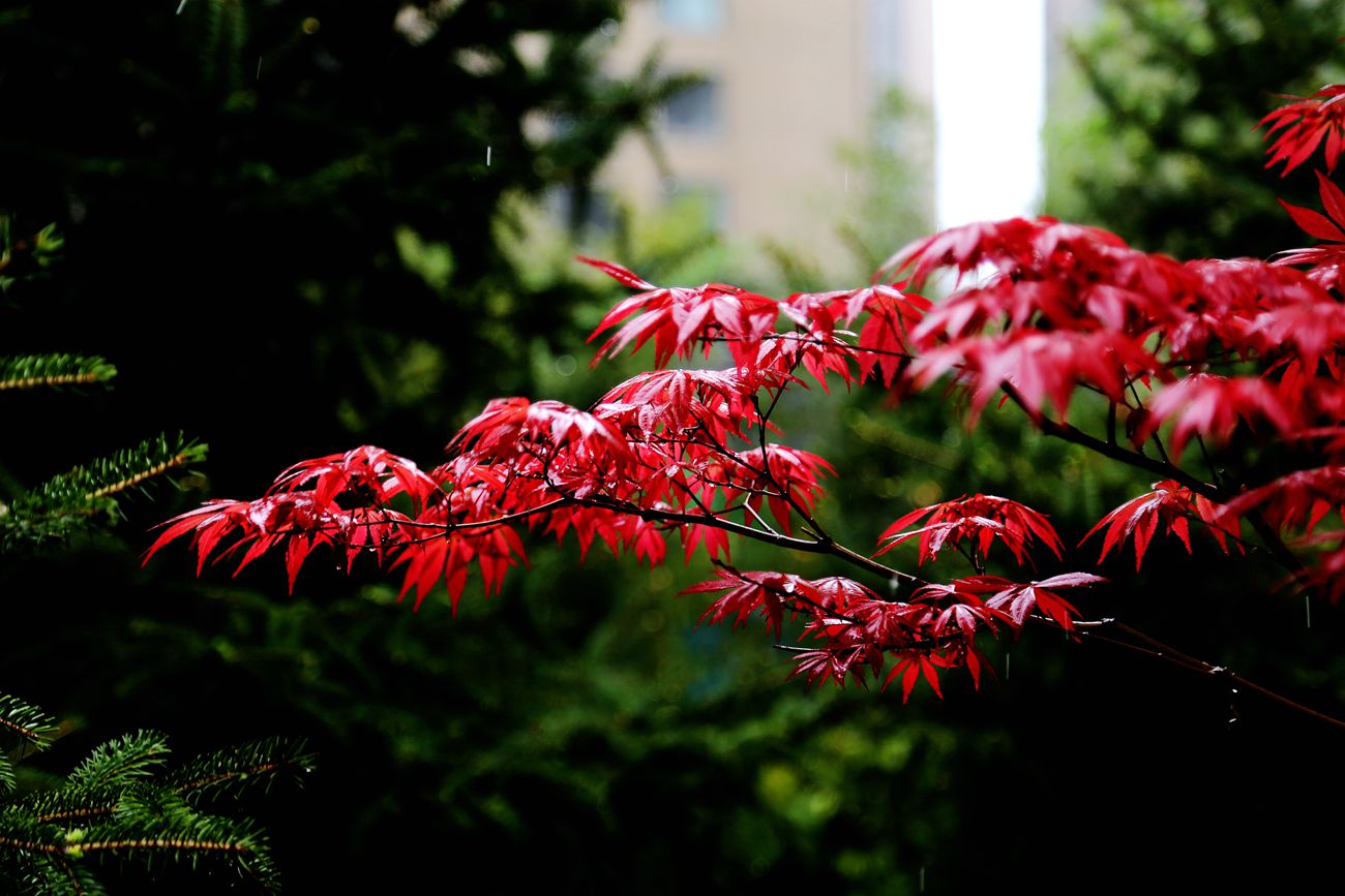 IMG_3894_副本.jpg