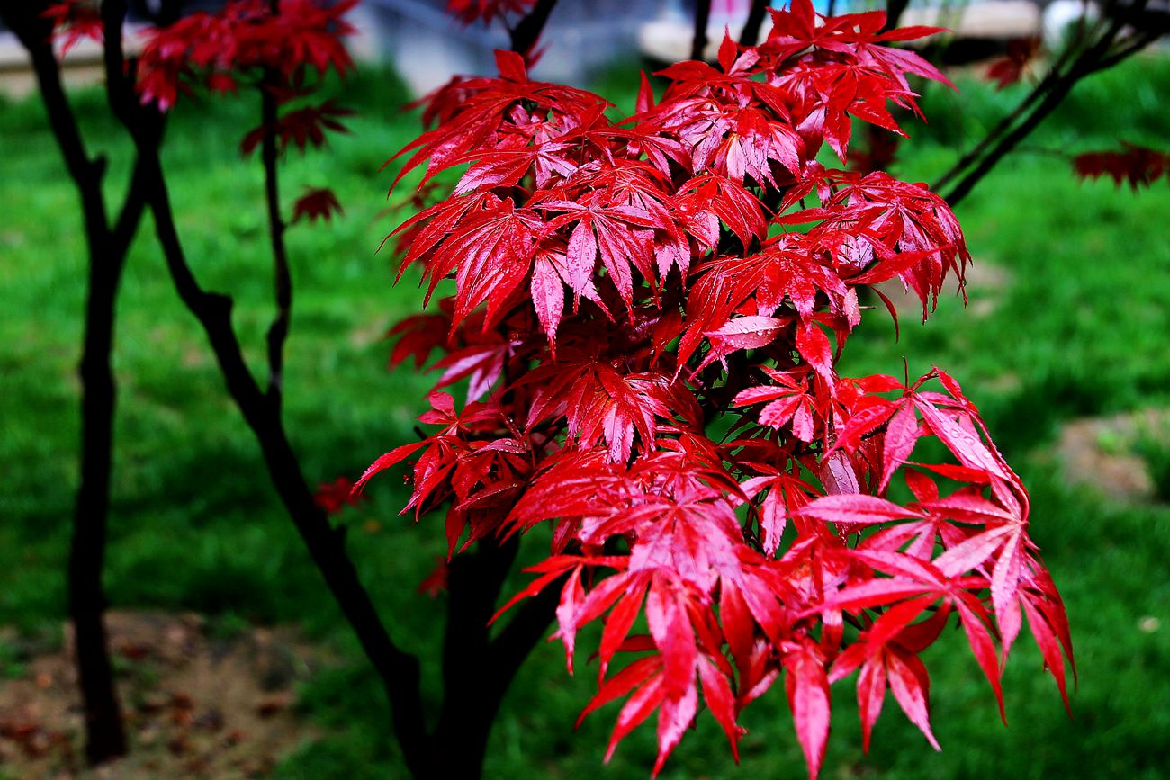 IMG_3971_副本.jpg