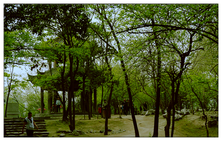 DSC00016_副本.jpg