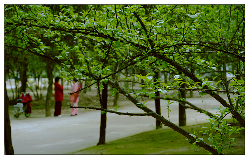 DSC00017_副本.jpg