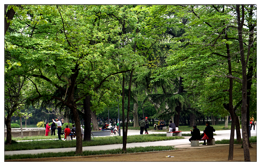 DSC00028_副本.jpg