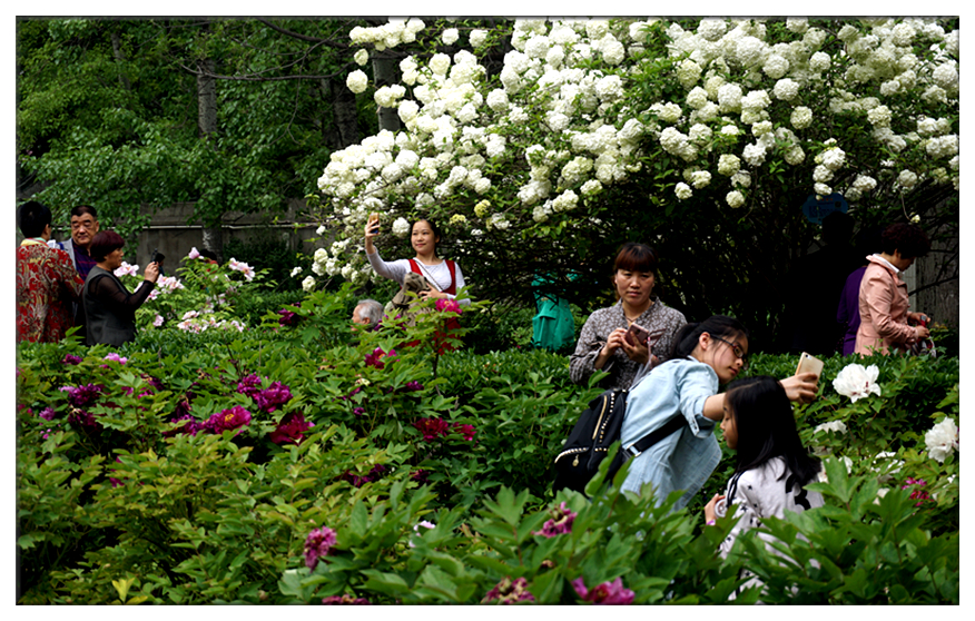 DSC00089_副本.jpg
