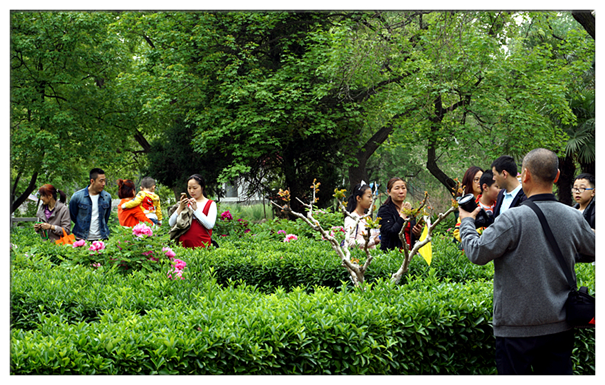 DSC00092_副本.jpg