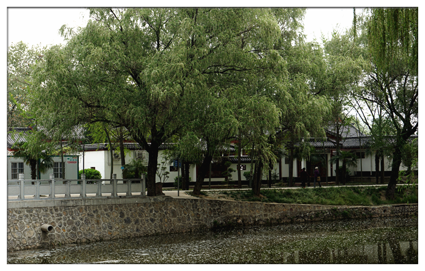 DSC00101_副本.jpg