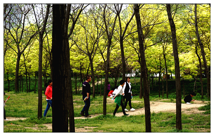DSC00115_副本.jpg