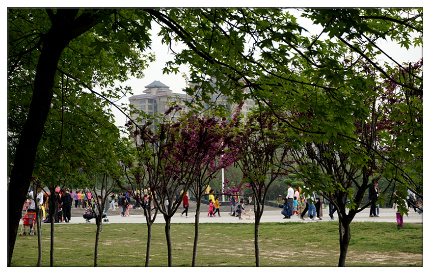 DSC00121_副本.jpg