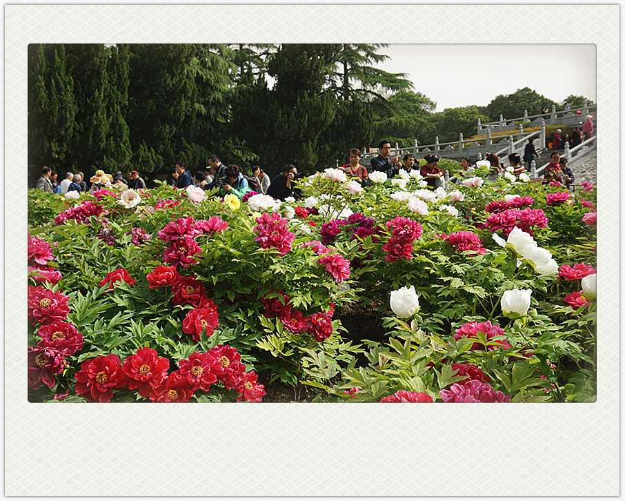 DSC00195_副本.jpg