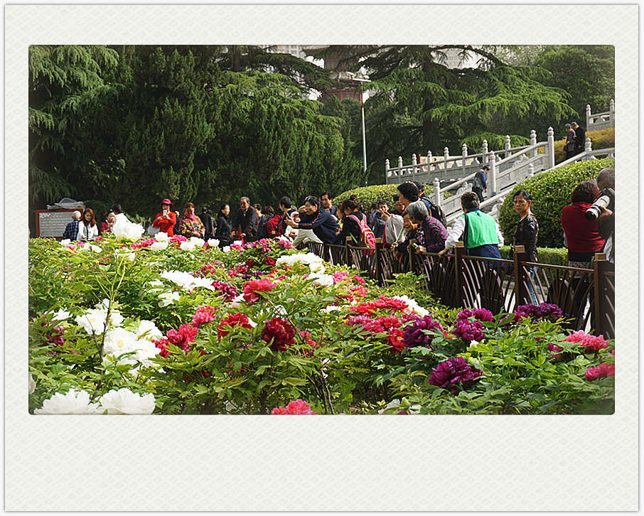 DSC00197_副本.jpg