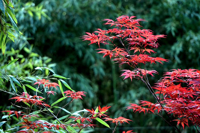 DSC00899_副本.jpg