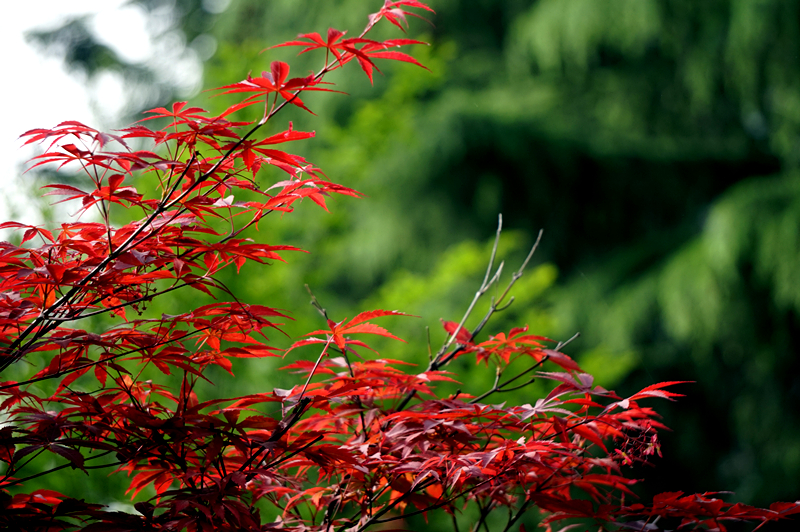 DSC00902_副本.jpg