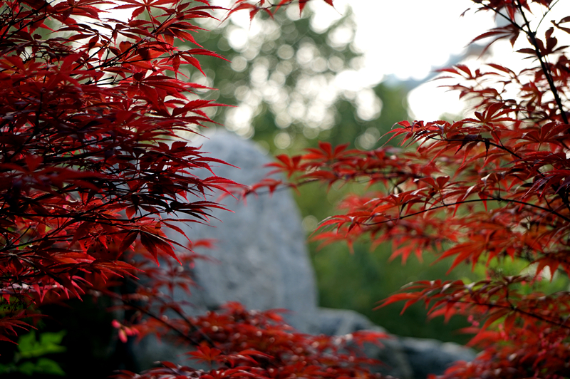 DSC00905_副本.jpg