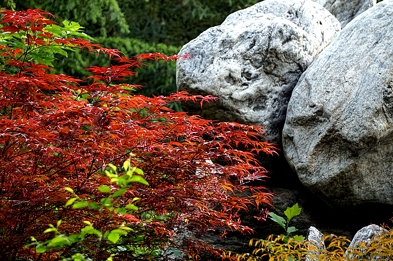 DSC00907_副本.jpg