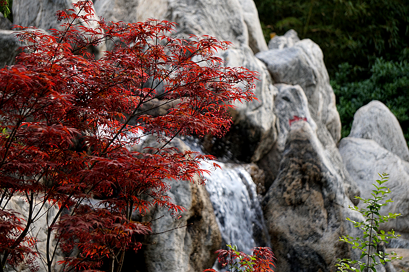 DSC00910_副本.jpg
