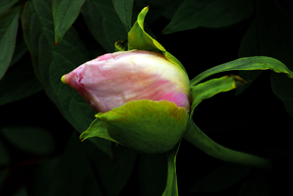 DSC_6512副本.jpg