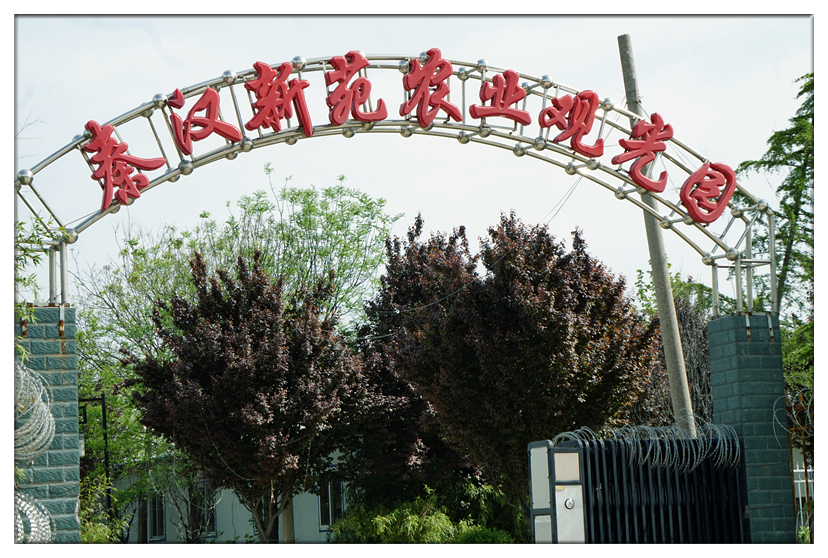 DSC01079_副本.jpg