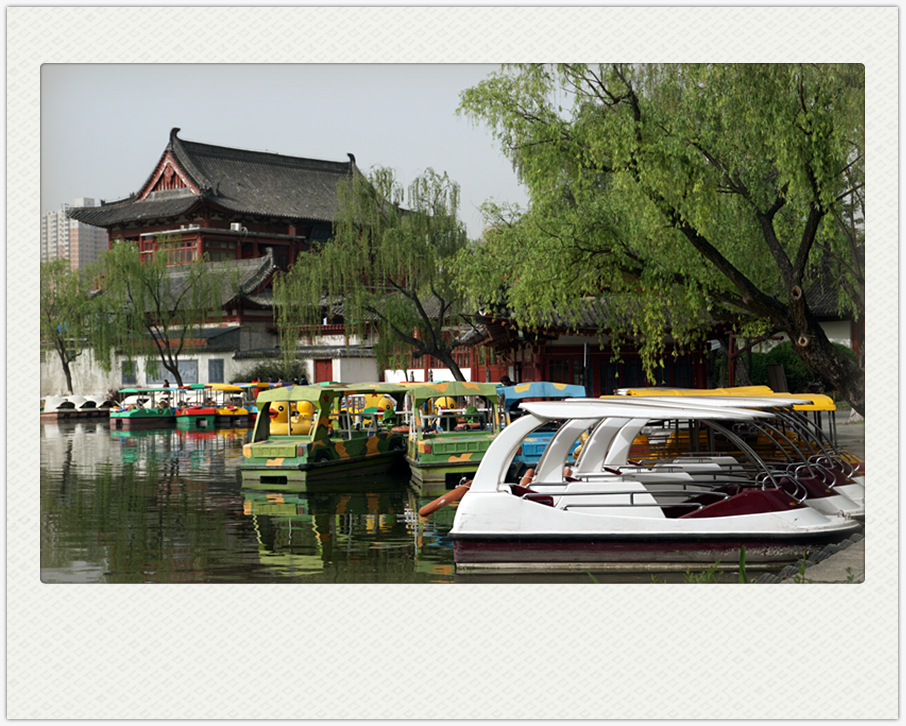 DSC00173_副本.jpg
