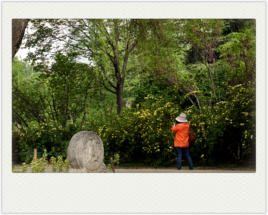 DSC00174_副本.jpg