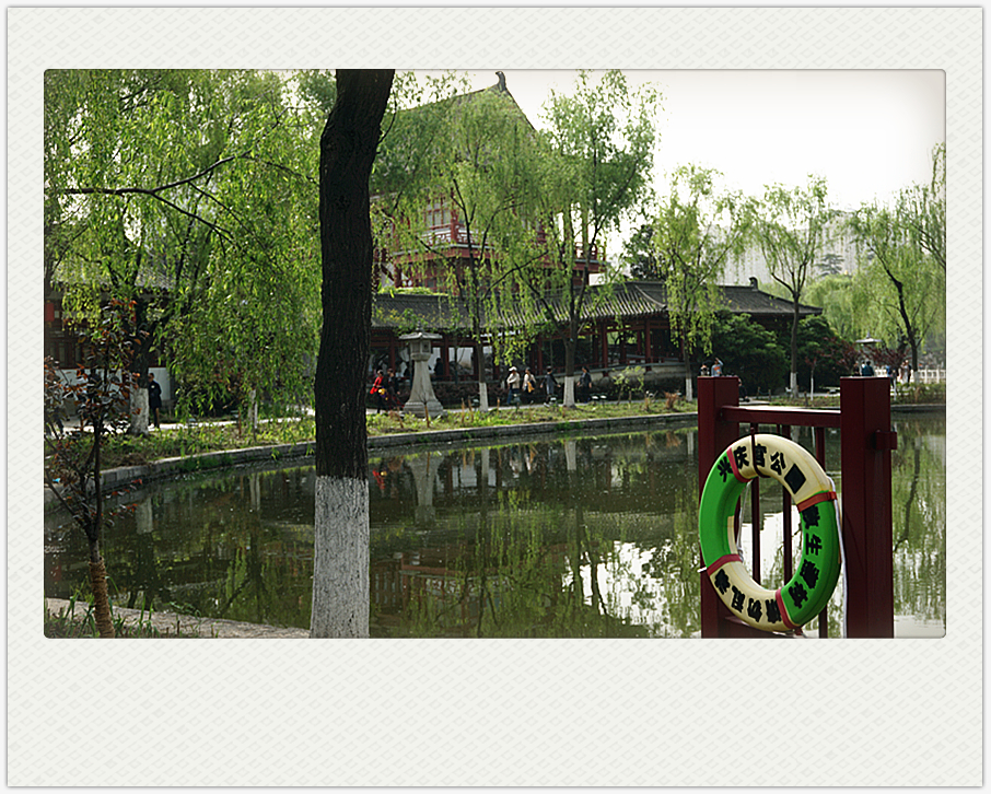 DSC00181_副本.jpg