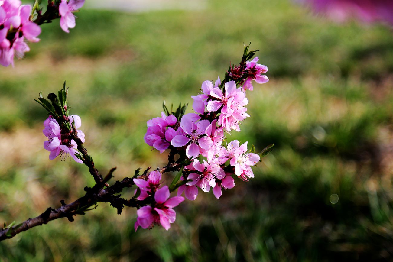 IMG_3997_副本.jpg