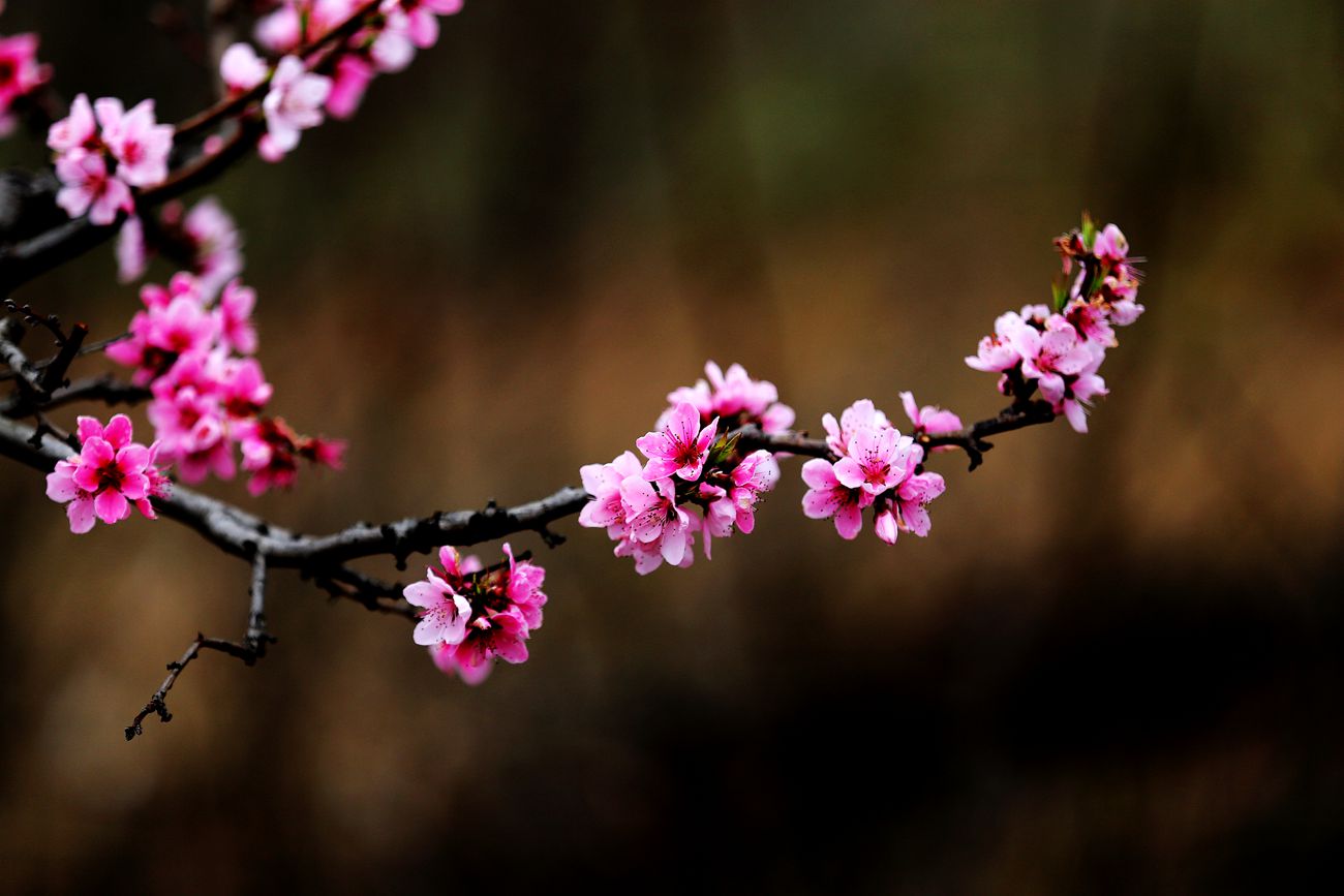 IMG_4193_副本.jpg
