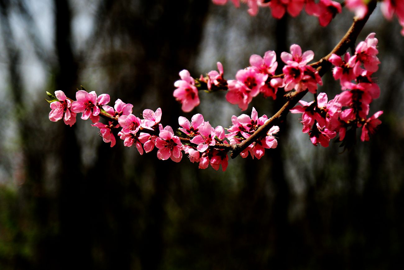 IMG_4720_副本.jpg