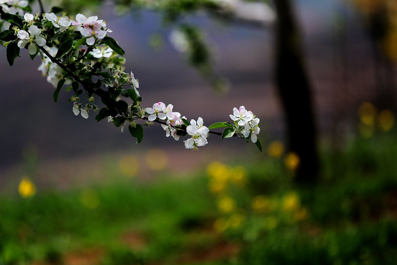 IMG_5058_副本.jpg