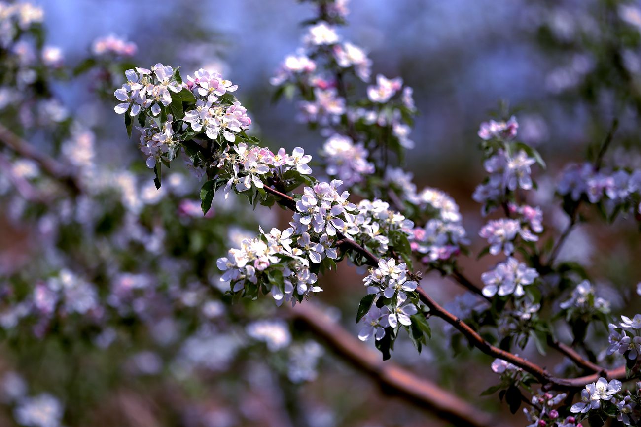 IMG_5090_副本.jpg