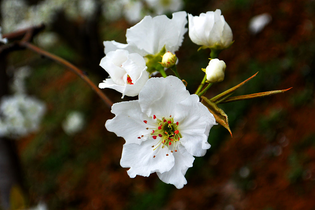 DSC_6566副本.jpg
