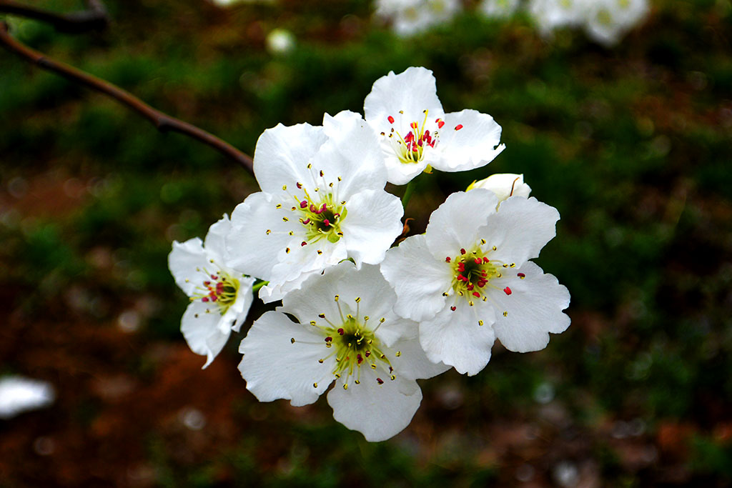 DSC_6568副本.jpg