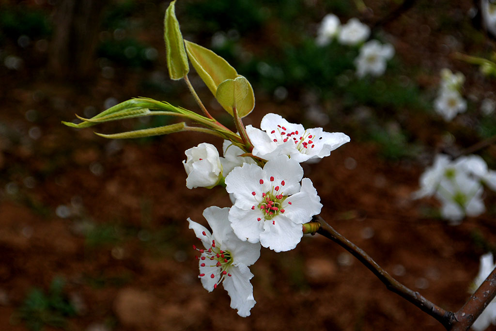 DSC_6570副本.jpg