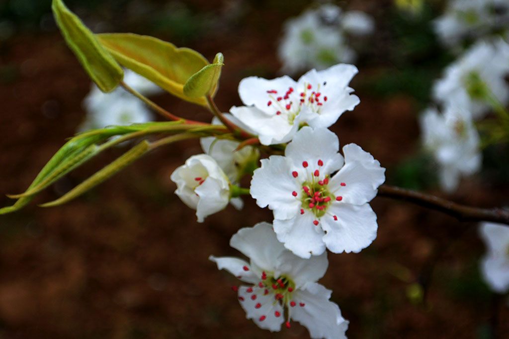 DSC_6573副本.jpg