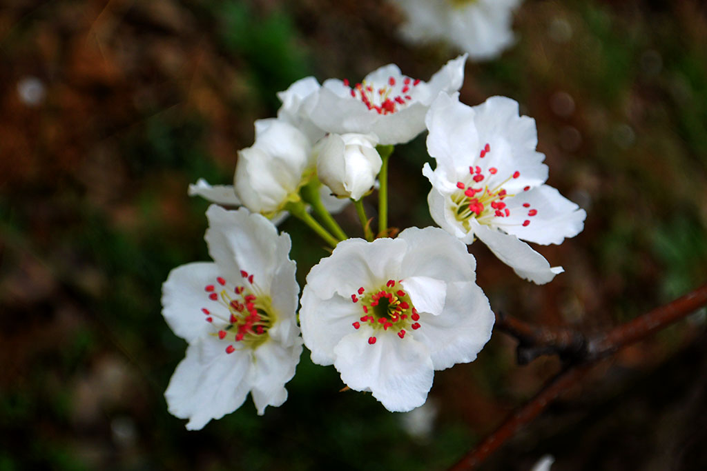 DSC_6588副本.jpg