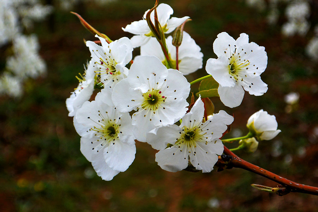 DSC_6597副本.jpg