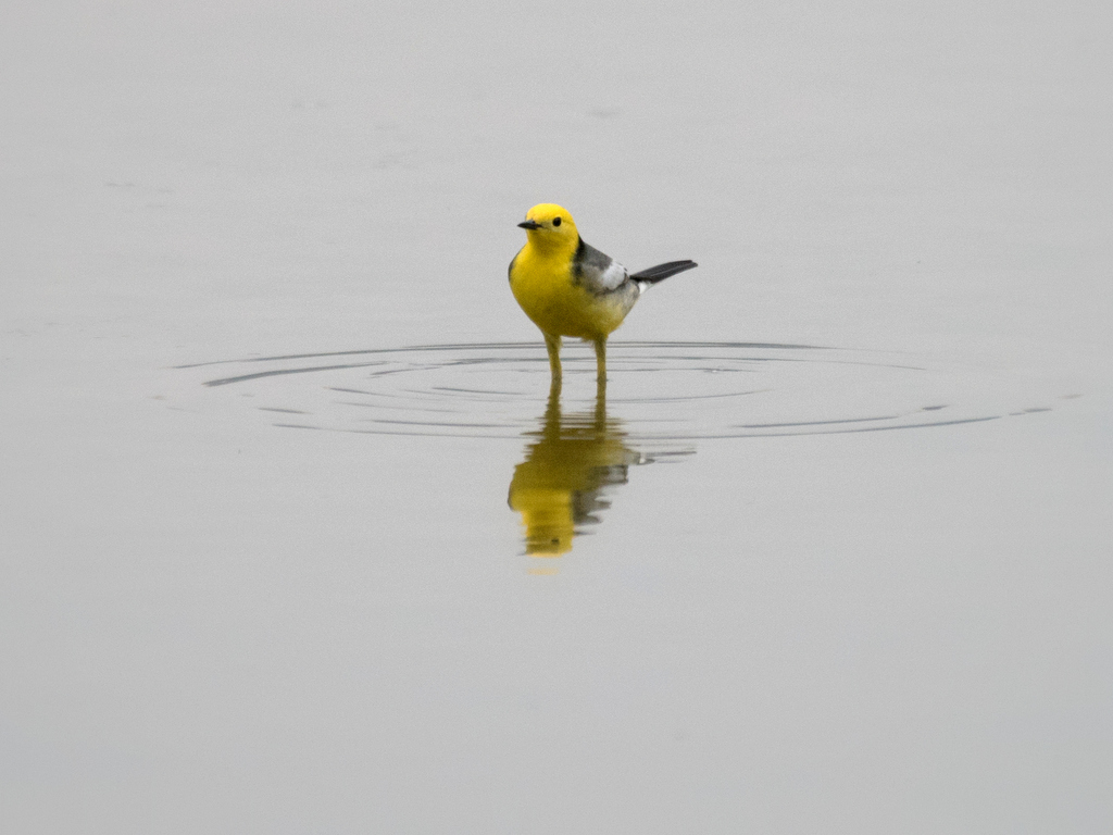 DSC_8252.jpg