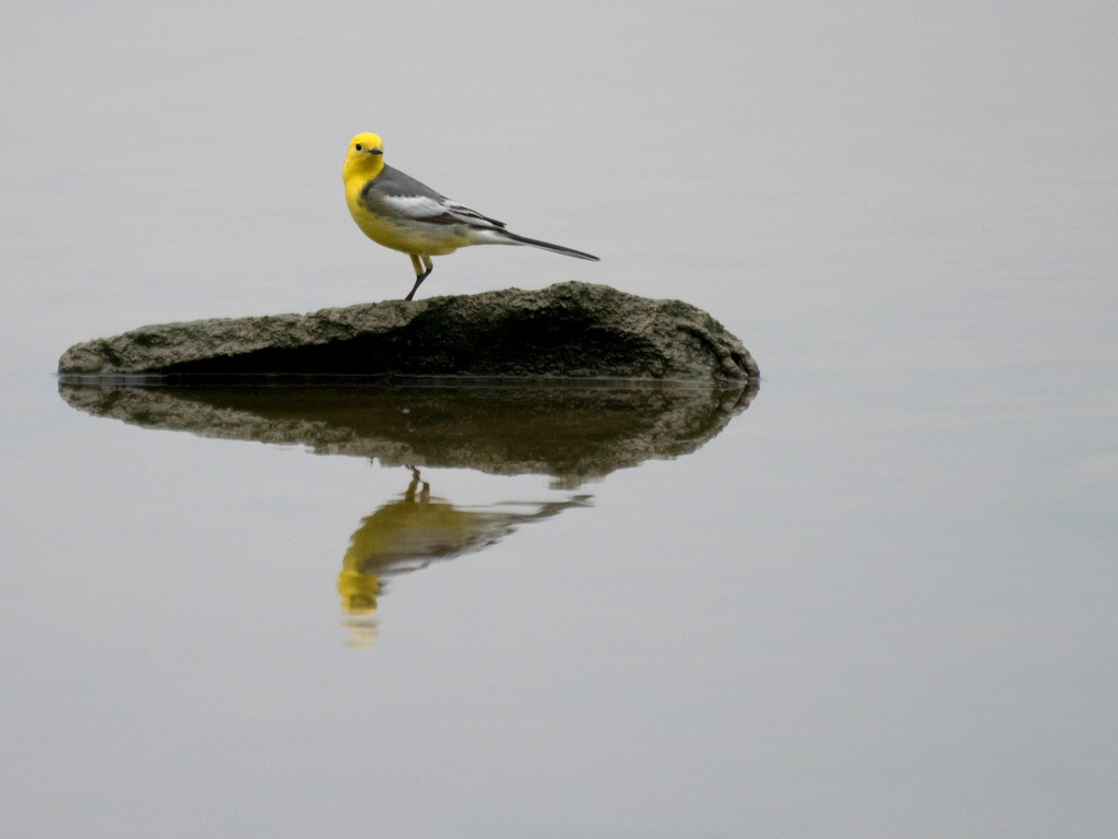 DSC_8262.jpg