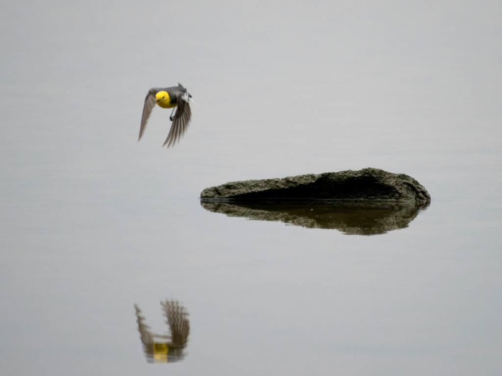 DSC_8264.jpg