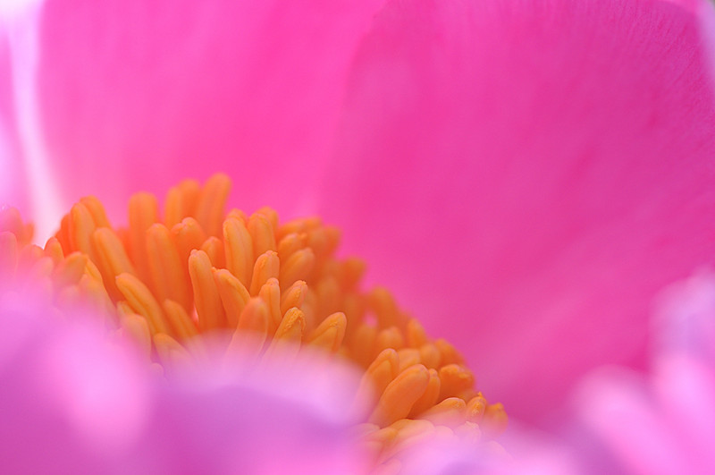 DSC_0396_副本.jpg