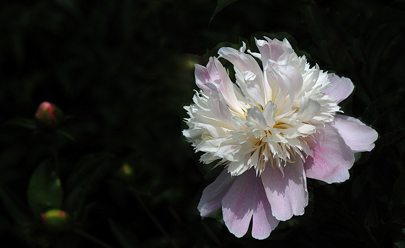 DSC_0059_副本.jpg