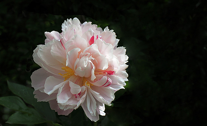 DSC_0131_副本.jpg