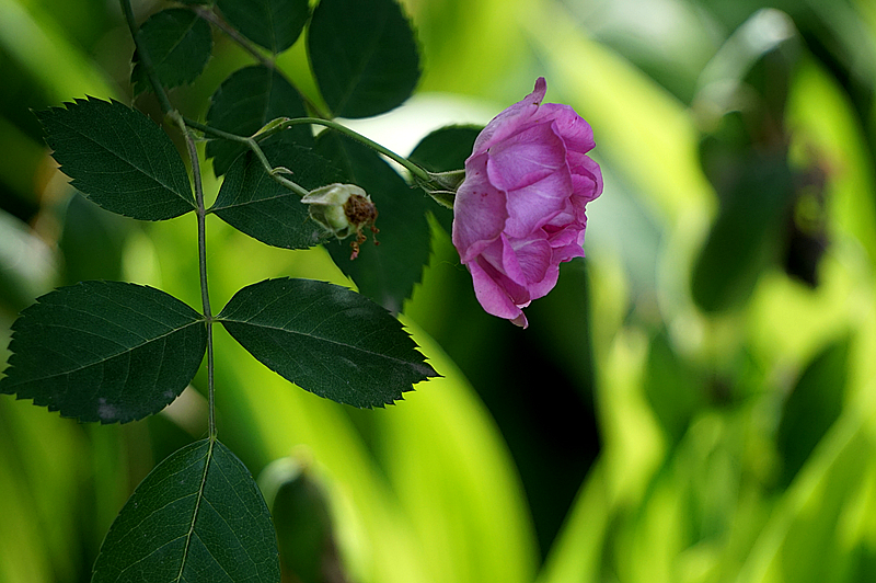 DSC01308_副本.jpg
