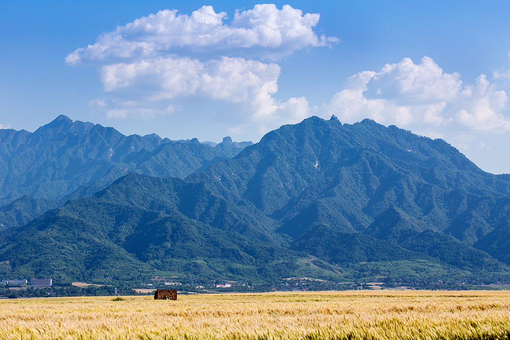 IMG_5376-1_副本_副本.jpg