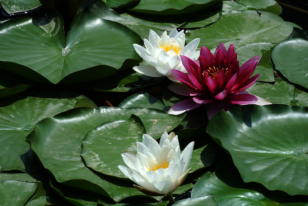 DSC_0824副本.jpg