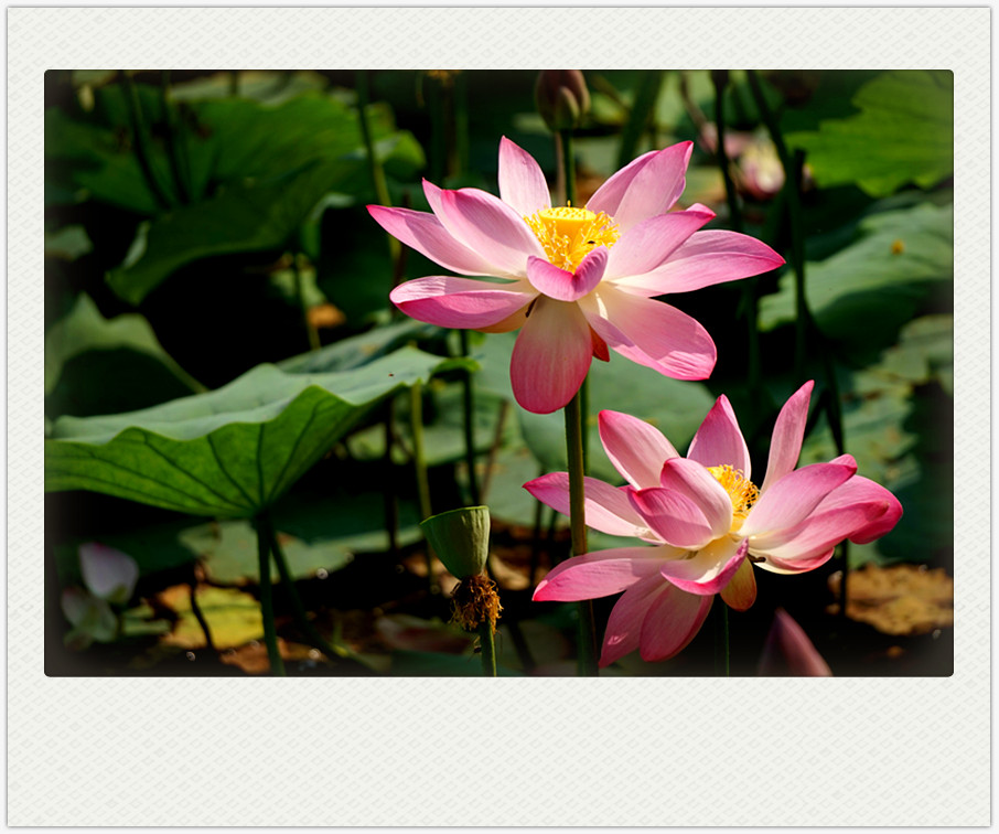 dsc01790_副本.jpg